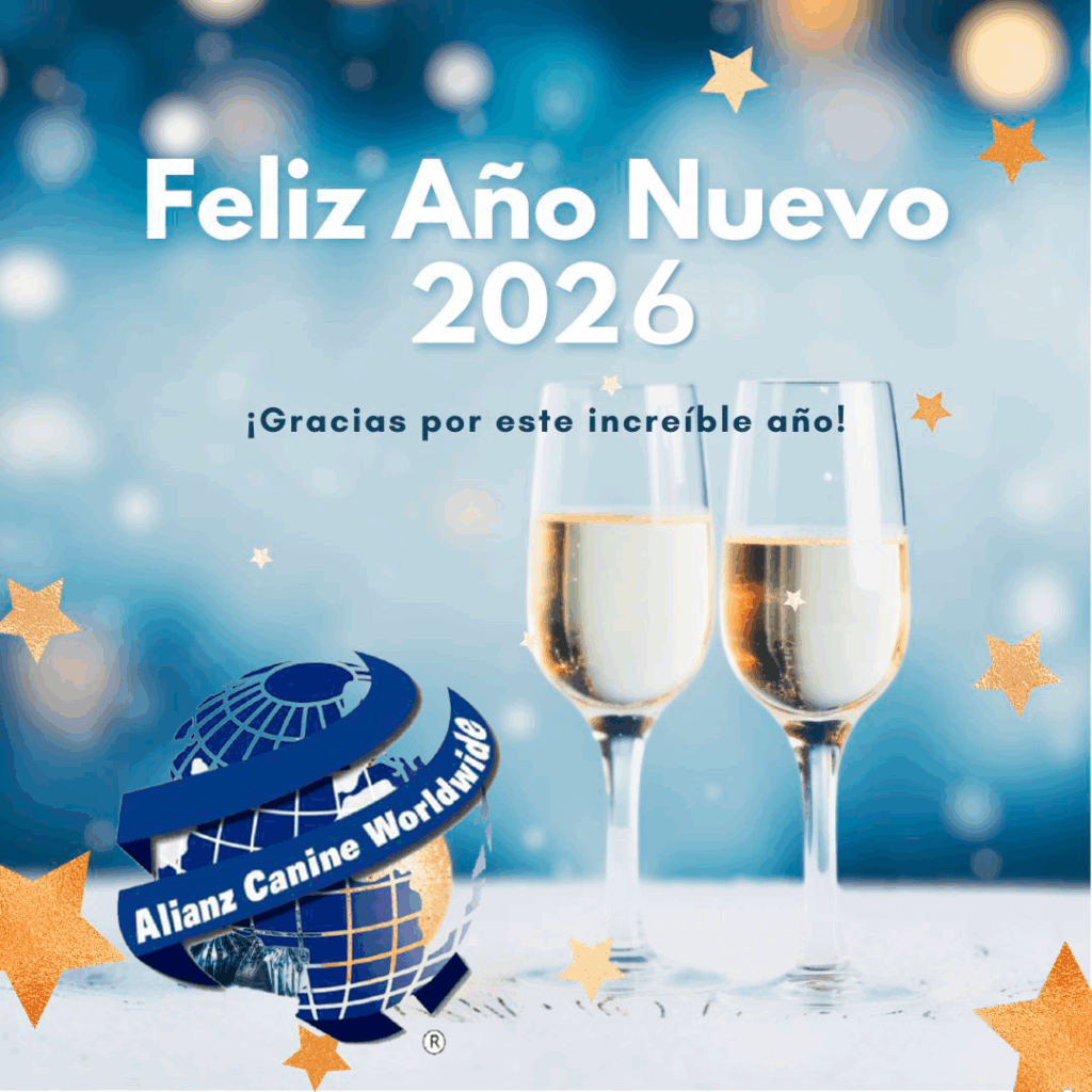 Feliz Año Nuevo 2026